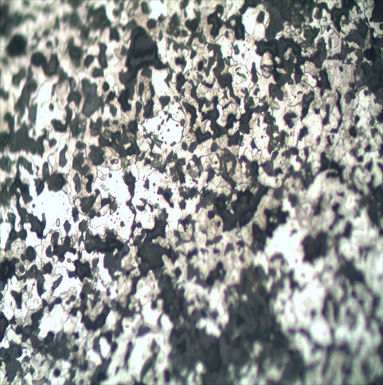 BS-6023BD Металлургический микроскоп