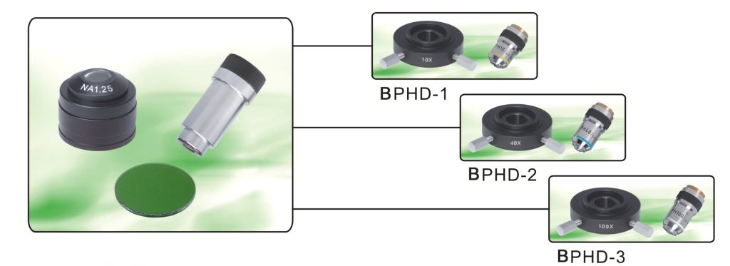 phase contrast microscopy