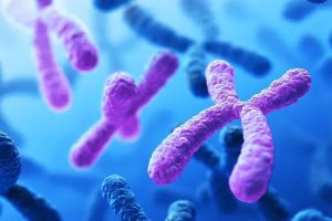 Chromosome