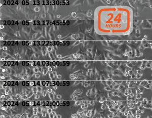 Continuous Time Lapse Acquisition