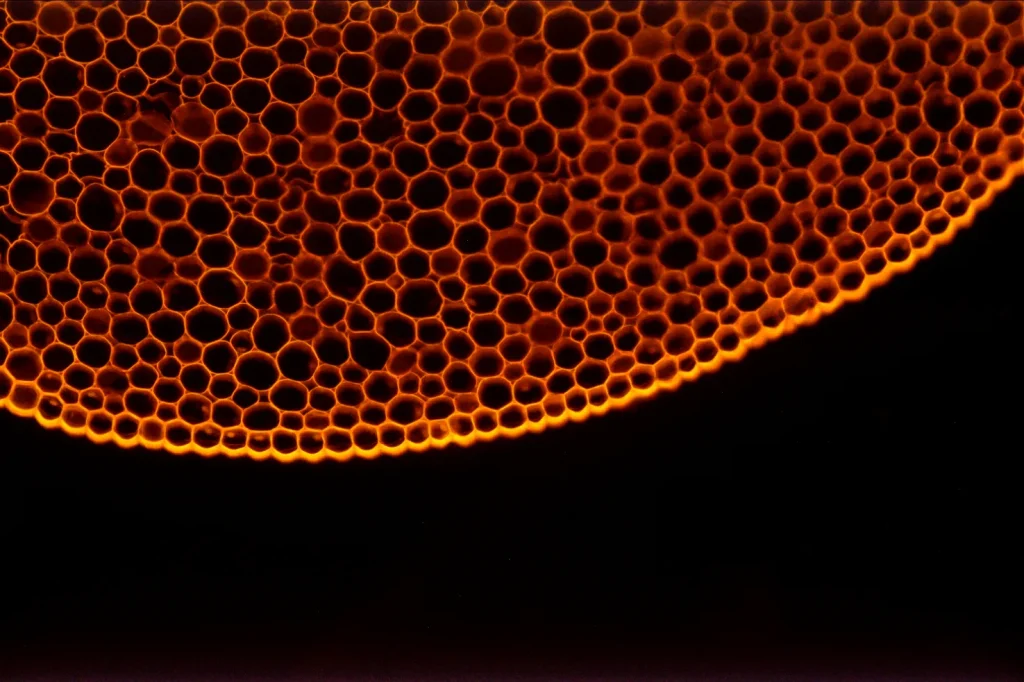 BUC5IA-2000M 20MP Resolution Cooled C-mount USB3.0 CMOS Microscope Camera