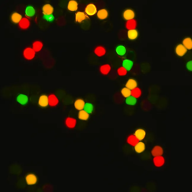 Microscope Camera-Sensitivity