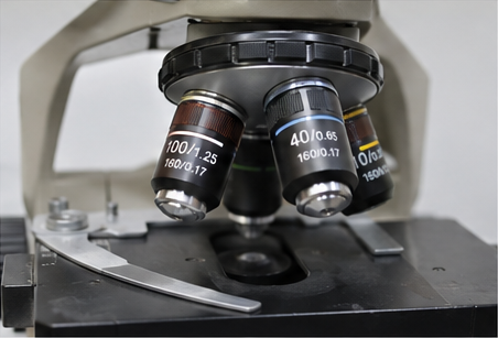 Parfocal Microscope Objectives Install the Objectives back into the Nosepiece
