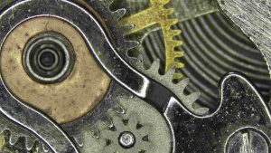 applications of the dissecting microscopes5