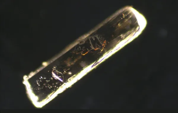 Sodium Glutamate Crystal – Dark Field