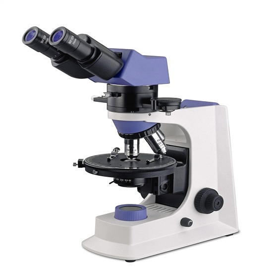 Polarising Filter Microscope at Melissa Leyva blog