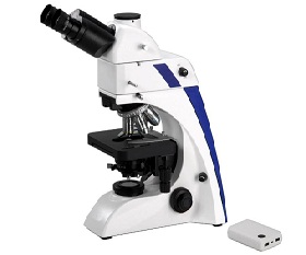 BS-2063FT(LED,TB) LED Fluorescence Microscope