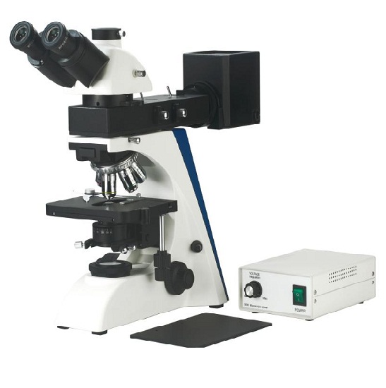 BS-6002TR Metallurgical Microscope
