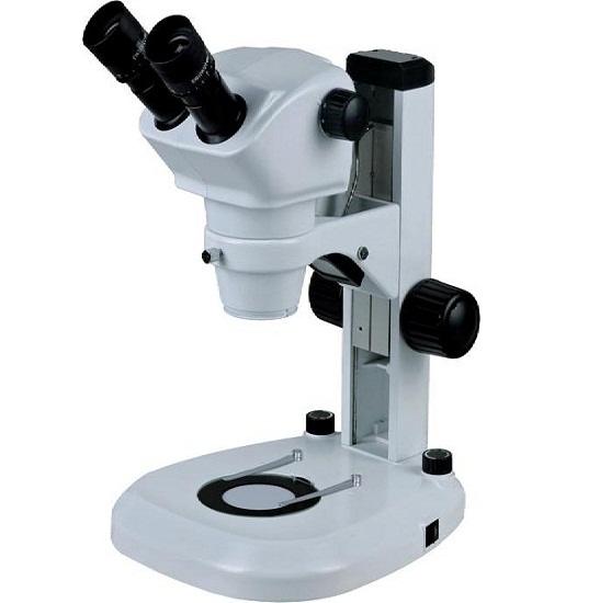 BS-3040B Zoom Stereo Microscope