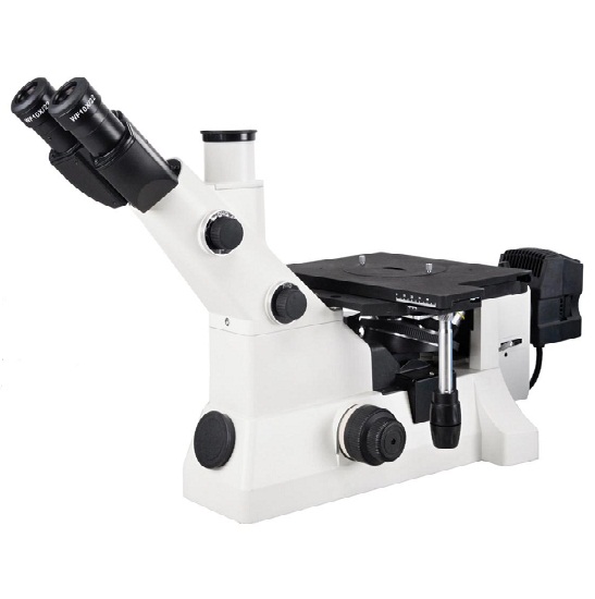 BS-6030 Inverted Metallurgical Microscope