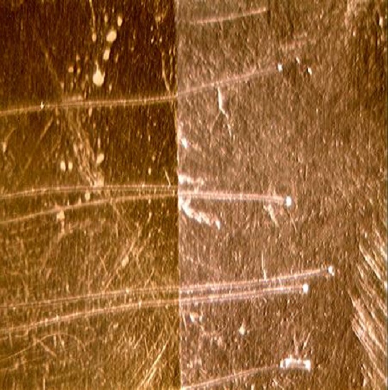 BSC-200 Comparison Microscope