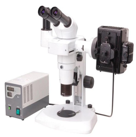 BS-3060FA Fluorescent Stereo Microscope