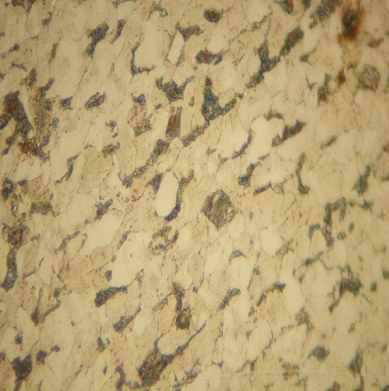 BS-6002TR Metallurgical Microscope