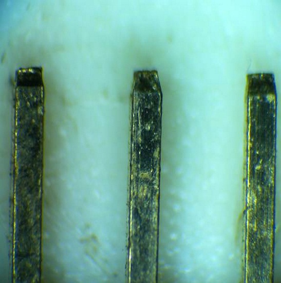 BS-3060A Zoom Stereo Microscope