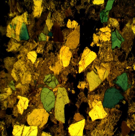 BS-5092 Polarizing Microscope