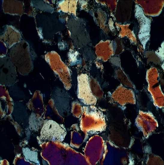 BS-5092TRF Polarizing Microscope