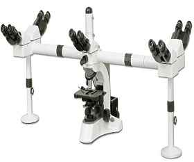 BS-2080MH10 Multi-Head Microscope