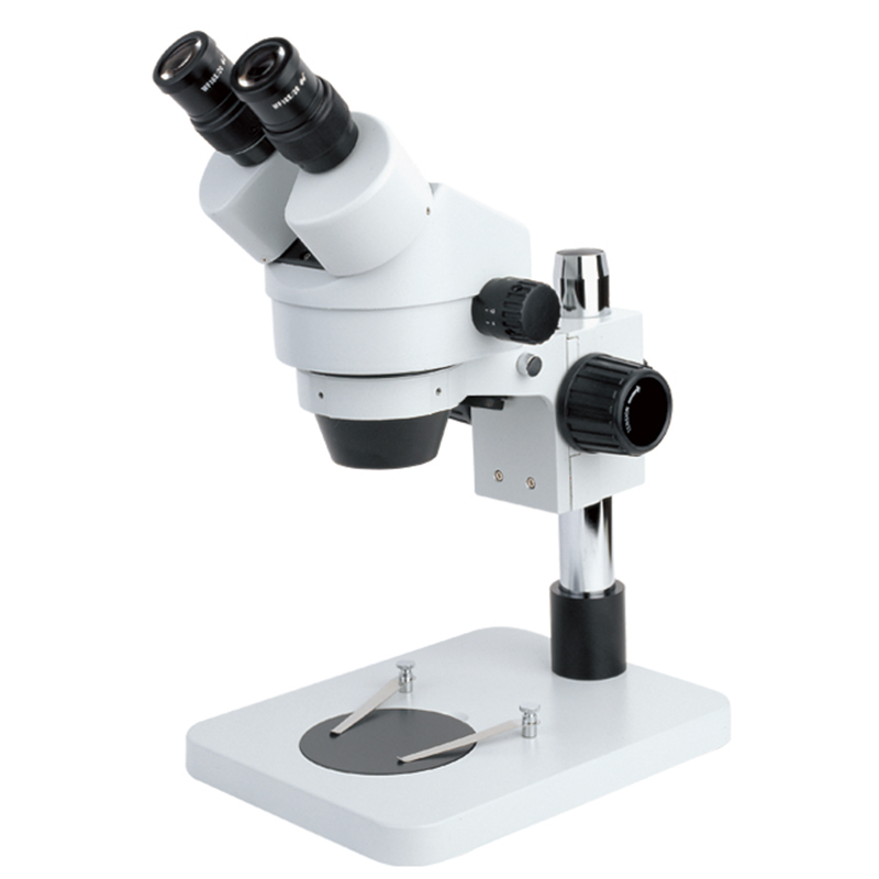 BS-3025B1 Binocular Zoom Stereo Microscope