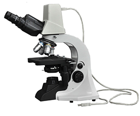BS-2022BD Biological Microscope