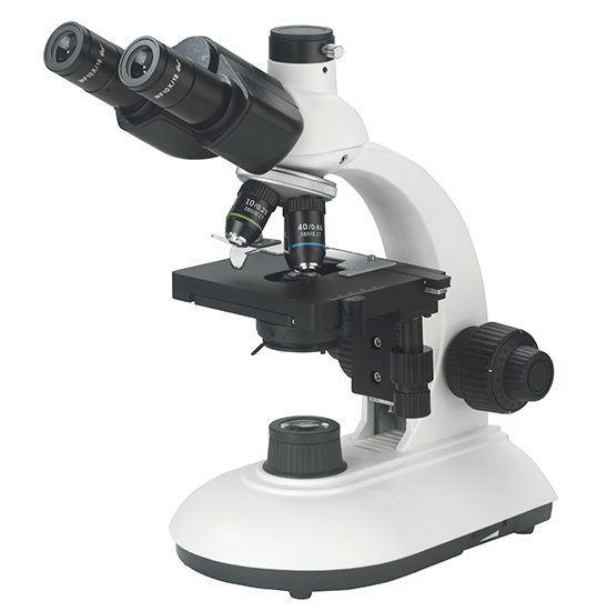 BS-2025T Trinocular Biological Microscope