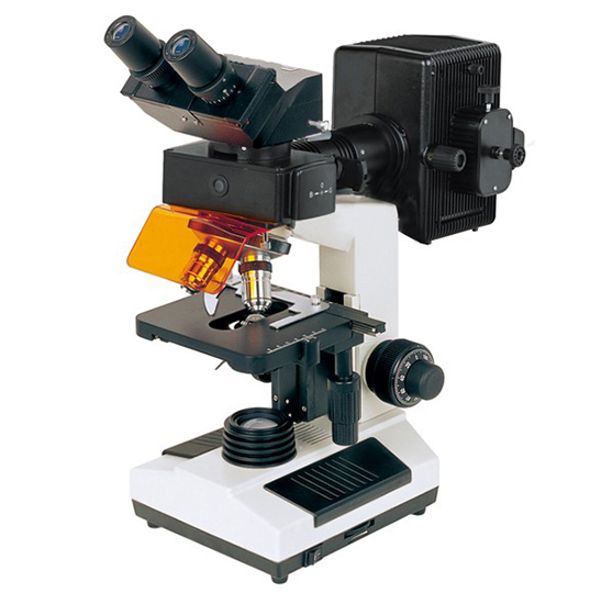 BS-2030FB Fluorescent Binocular Biological Microscope