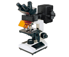 BS-2030FT Fluorescent Trinocular Biological Microscope