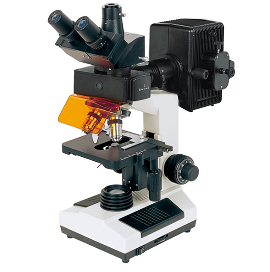 BS-2030FT Fluorescent Trinocular Biological Microscope