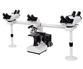 BS-2030MH10 Multi-Head Microscope