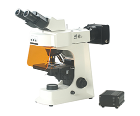 BS-2036FB(LED) Fluorescent Binocular Biological Microscope