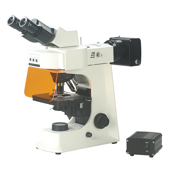 BS-2036FB(LED) Fluorescent Binocular Biological Microscope