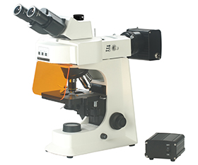 BS-2036FT(LED) Fluorescent Trinocular Biological Microscope