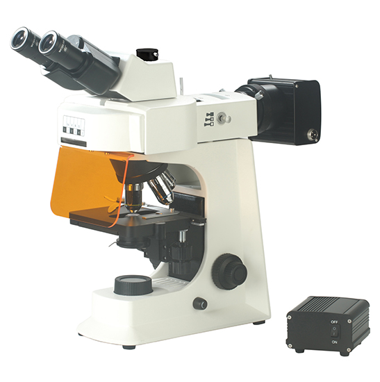 BS-2036FT(LED) Fluorescent Trinocular Biological Microscope