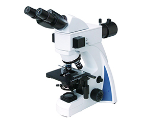 BS-2040FB(LED) Fluorescent Binocular Biological Microscope