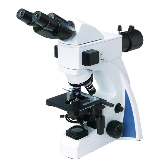 BS-2040FB(LED) Fluorescent Binocular Biological Microscope