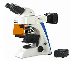BS-2063FB(LED) LED Fluorescence Binocular Microscope