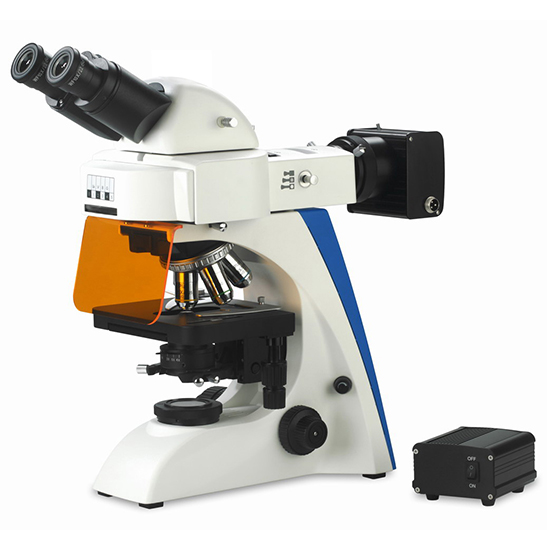 BS-2063FB Fluorescence Binocular Microscope