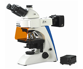 BS-2063FT(LED) LED Fluorescence Microscope