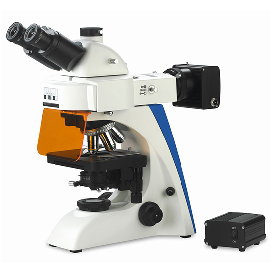 BS-2063FT(LED) LED Fluorescence Trinocular Microscope