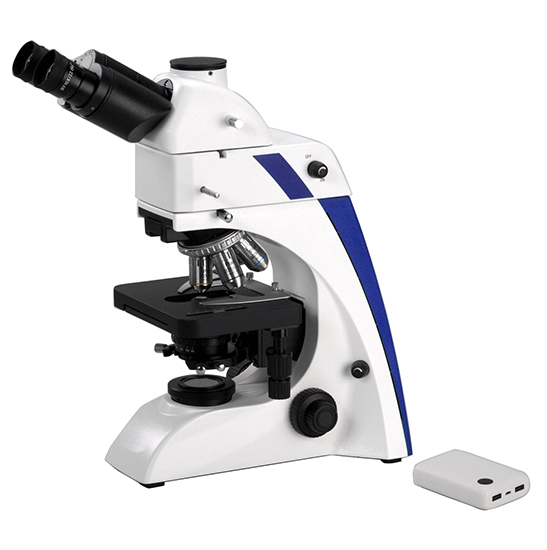 BS-2063FT(LED,TB) LED Fluorescence Trinocular Microscope