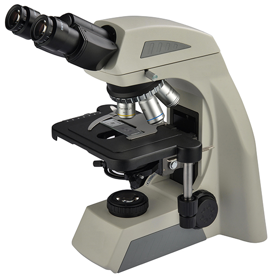 Bestscope BS-2040fb (LED) Fluorescent Biological Microscope for Lab  Research - China Microscope Price, Biological Microscope