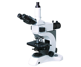 BS-2080F(LED) Fluorescent Biological Microscope