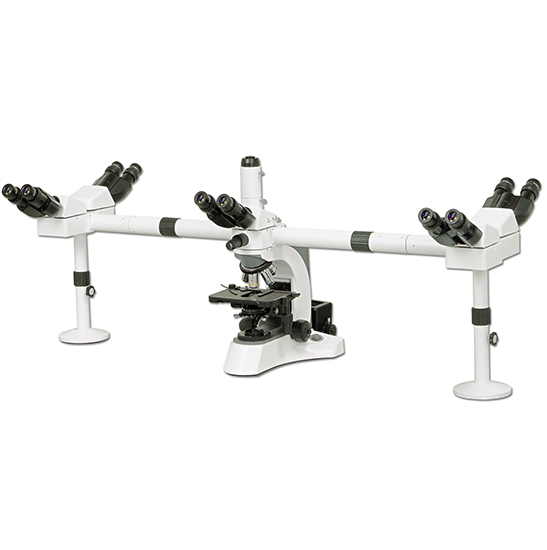 BS-2080MH10 Multi-Head Microscope