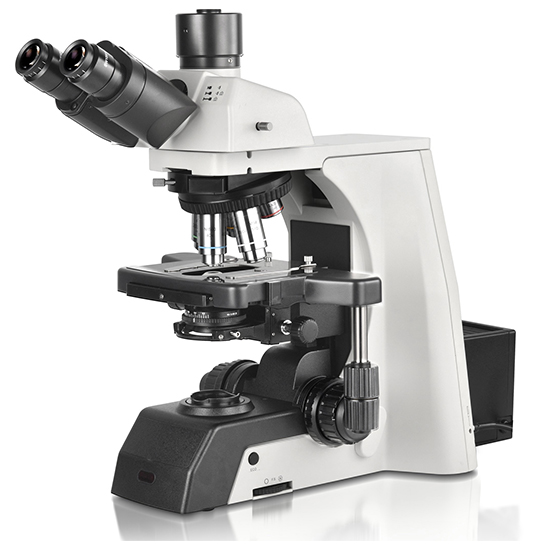 BS-2081 Research Biological Microscope