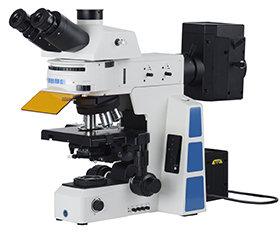 BS-2082F Research Biological Fluorescent Microscope