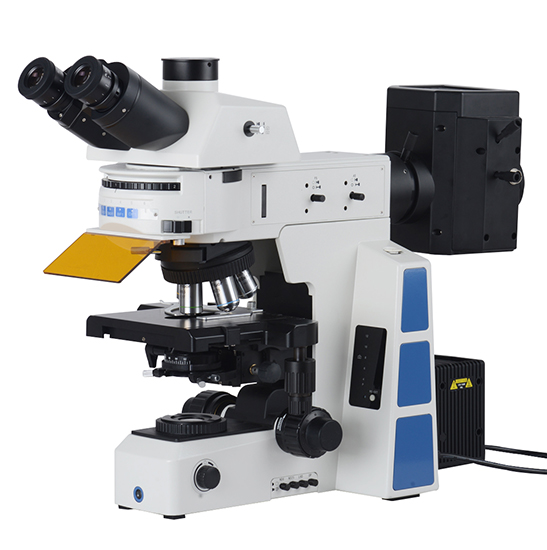 BS-2082F Research Biological Fluorescent Microscope