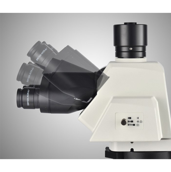 BS-2083F Research Biological Fluorescent Microscope