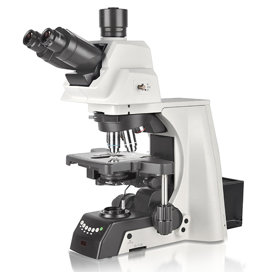 BS-2083 Research Biological Microscope