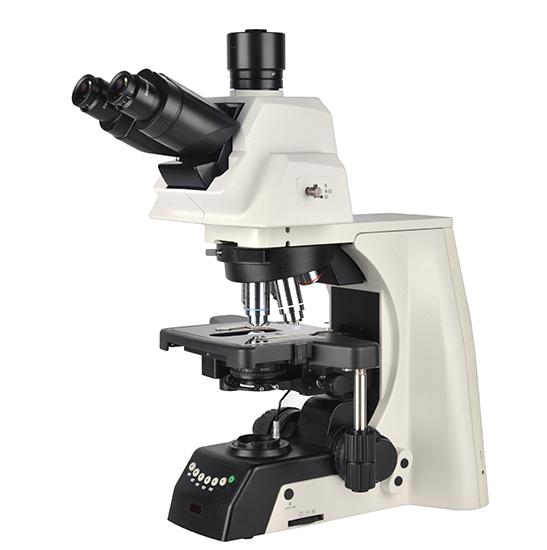 BS-2083(LED) Research Biological Microscope