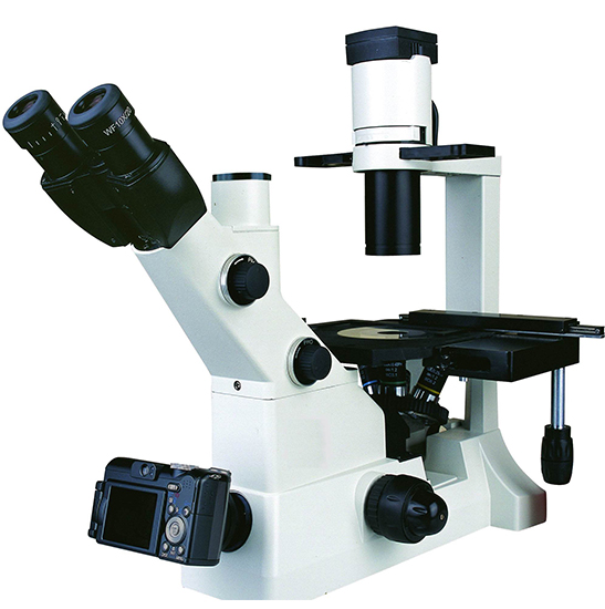 BS-2092 Inverted Biological Microscope