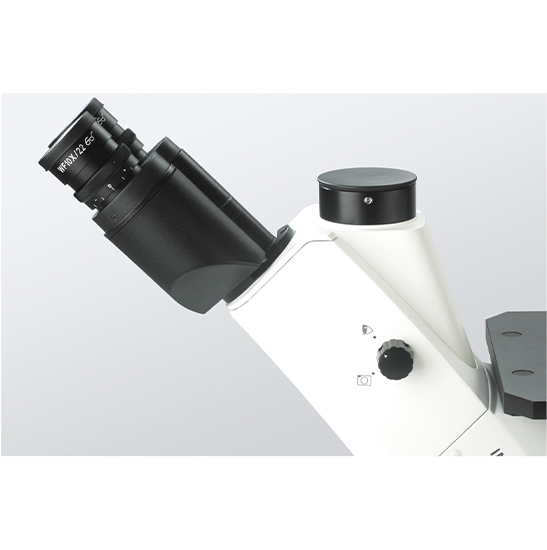 BS-2093AF(LED) Inverted Biological Fluorescent Microscope